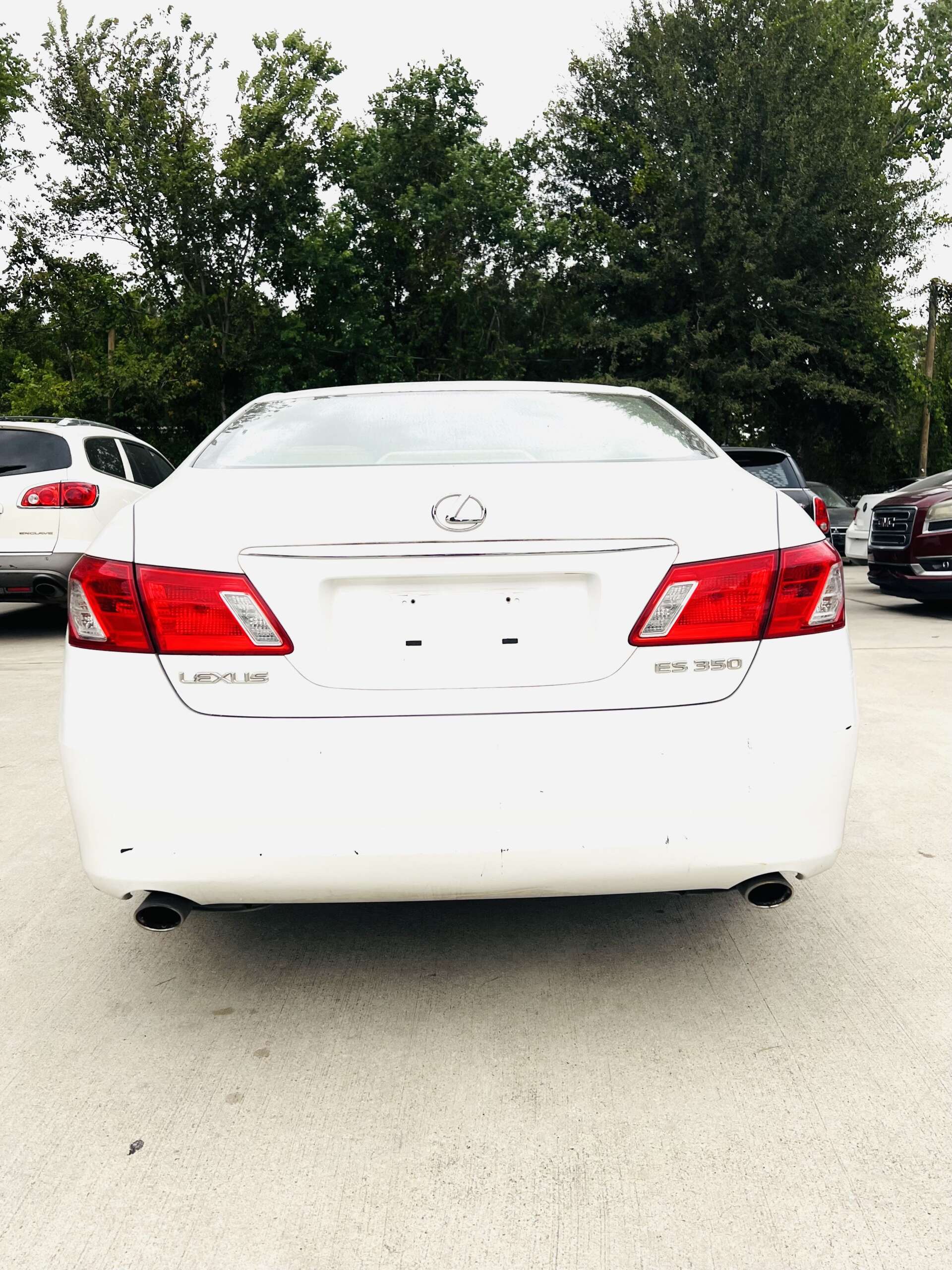 
								LEXUS ES 330 full									